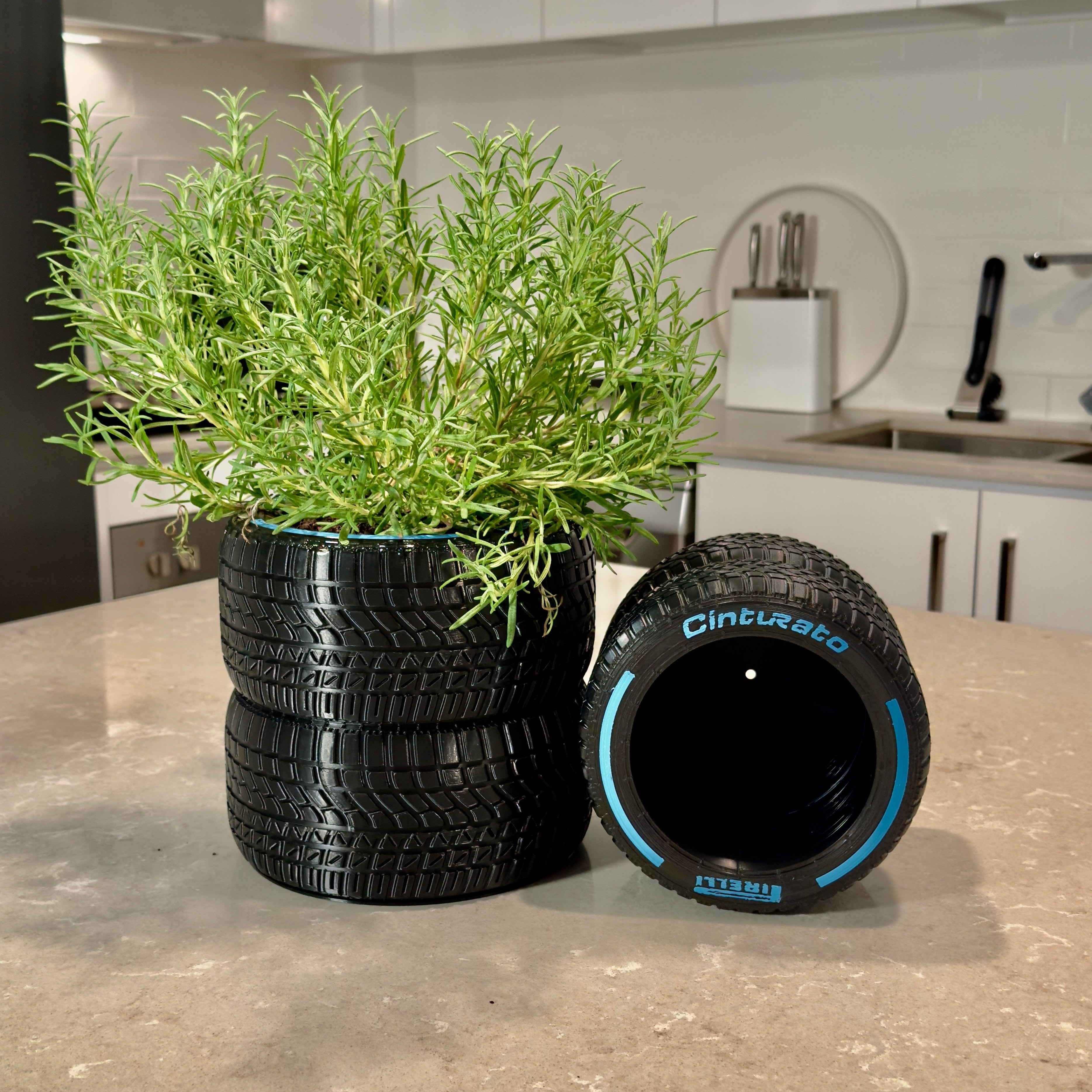 Potted plant on stacked tires with a Cinturato tire in a kitchen setting
